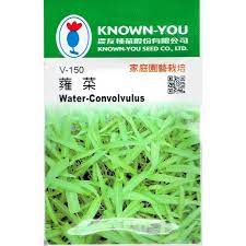 Known You Seeds Water Convolvulus
