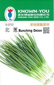 KNOWN-YOU SEED Bunching Onion