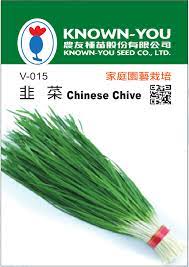 KNOWN-YOU SEED Chinese Chive