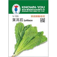 KNOWN-YOU SEEDS  Lettuce