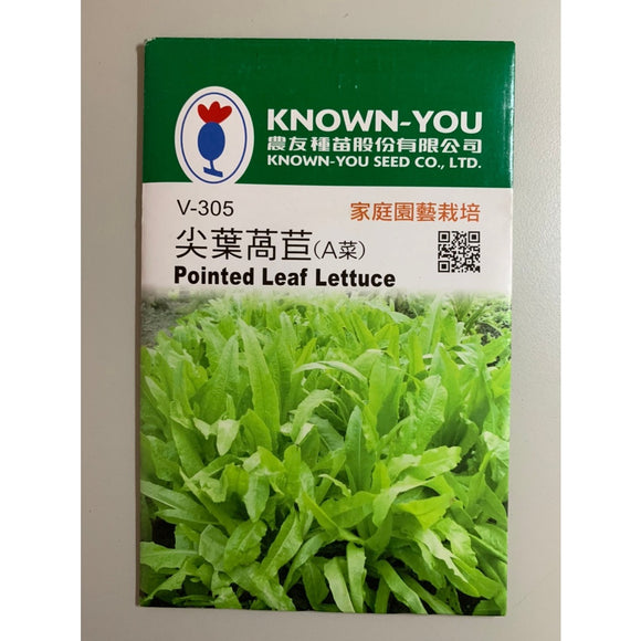 Known-You Seeds Pointed Leaf Lettuce