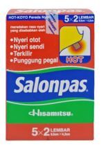 Salonpas Hot Box/10pks